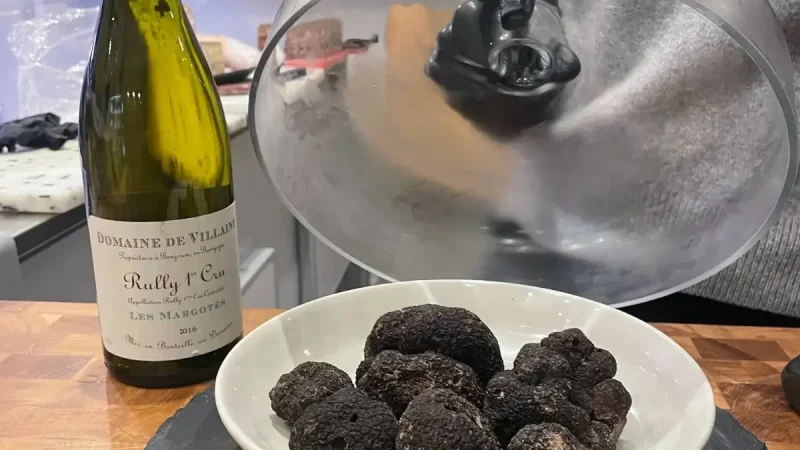Une bouteille de vin avec des truffes fraîches